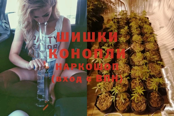 круглые Осинники