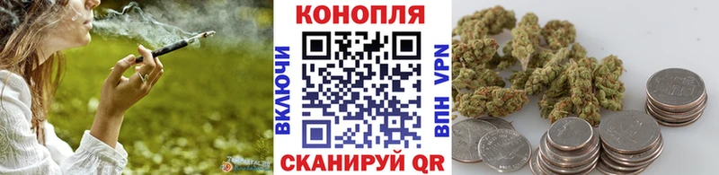 Шишки марихуана планчик  Нелидово 